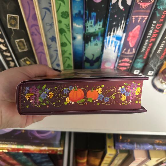 Locked Library Forbidden Wing Cat Dragon - Picture 4 of 10